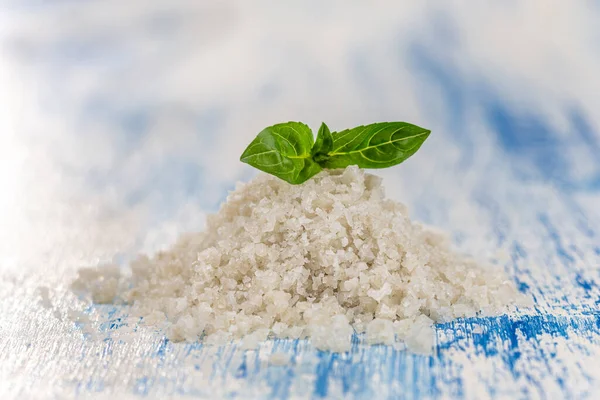 Produkce moří - sůl Fleur de sel na solných polích Guerande, Bretaň, Francie — Stock fotografie