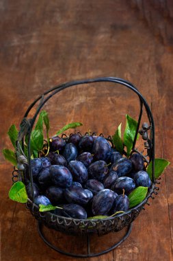 Dolgun, koyu mor meyvelerle dolu bir köy sepeti sıcak bir ahşap masada duruyor. Erikleri çevreleyen yeşil yapraklar, sonbahar hasadı için mükemmel doğal ve davetkar bir görüntü oluşturur..