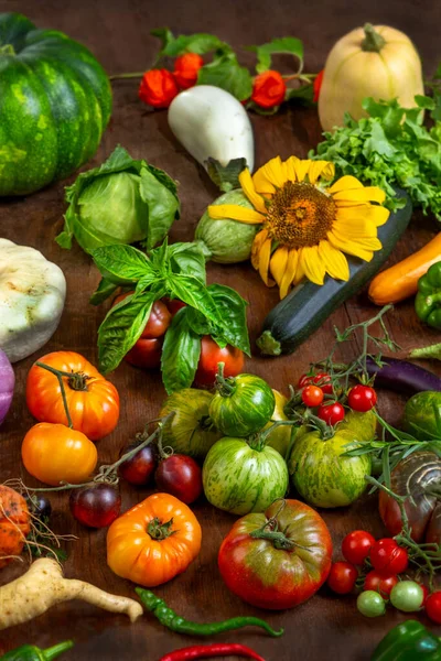 Domates, kabak ve havuç da dahil olmak üzere canlı bir sebze çeşidi ahşap bir yüzey üzerinde ustalıkla düzenlenir. Ayçiçekleri ve otlar yerleşime biraz renk ve tazelik katar.