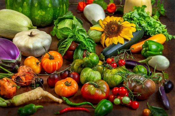 Domatesler, biberler, kabaklar ve otlar da dahil olmak üzere taze toplanmış sebzeler kırsal bir ahşap yüzey üzerinde ayçiçeğinin yanında sergilenir..