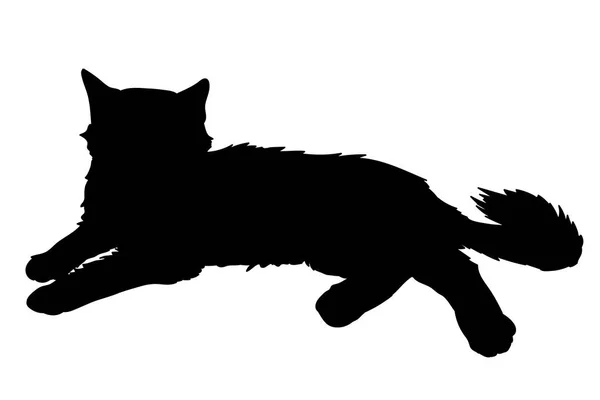Lindo gato esponjoso pone. Ilustración vectorial de silueta negra de gatito aislado sobre fondo blanco. Elemento para su diseño, impresión, pegatina — Vector de stock
