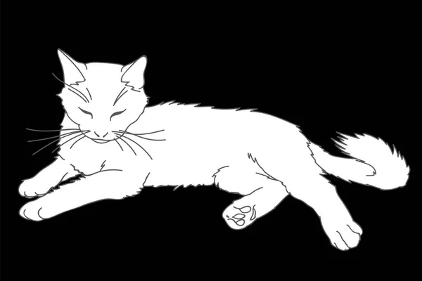 Lindo gato realista colocación. Ilustración vectorial de gatito blanco aislado sobre fondo negro. Elemento para su diseño, impresión, pegatina. Gato blanco en estilo de boceto simple. Lineal y silueta — Vector de stock