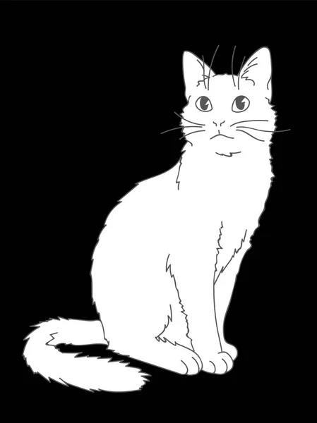 Lindo gato realista sentado. Ilustración vectorial de gatito mirando hacia arriba. Líneas grises, figura blanca sobre fondo negro. Elemento para su diseño, impresión, pegatina. Gato blanco esponjoso en estilo de boceto simple . — Vector de stock