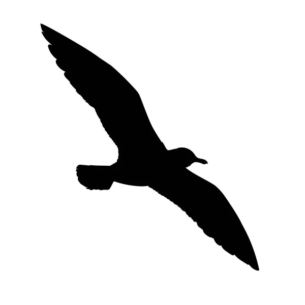 Vliegende zeemeeuw silhouet. Vectorillustratie in zwart-wit stijl op witte achtergrond. Element voor uw ontwerp. De vorm van de zwarte vogel. Europese zilvermeeuw — Stockvector