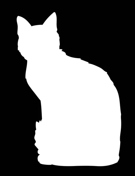 Lindo gato sentado. Ilustración de silueta negra de gatito sobre fondo blanco. Elemento para su diseño, impresión, pegatina. Sombra — Vector de stock