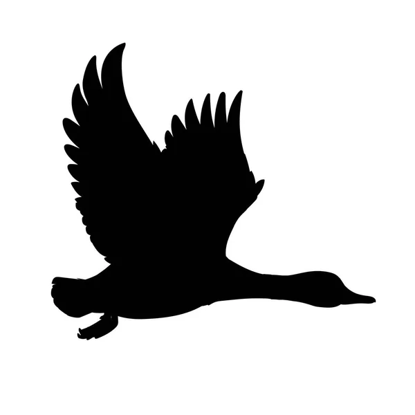 야생 오리 비행. 드레이크. 디자인에 대한 흰색 배경에 고립 된 새 청둥오리의 검은 실루엣의 벡터 그림. 오리 사냥. 모양. — 스톡 벡터