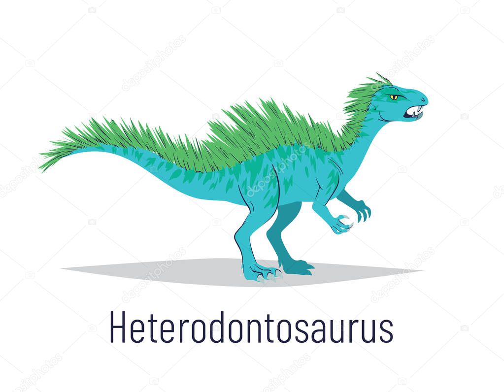 Heterodontosaurus. Ornithischian dinosaur. Colorful vector illustration of prehistoric creature heterodontosaurus in hand drawn flat style isolated on white background. Fossil dinosaur.