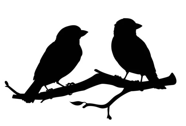 Moineaux réalistes assis sur une branche. Illustration vectorielle monochrome de silhouettes noires de petits oiseaux moineaux isolés sur fond blanc. Un pochoir. Élément pour votre conception, impression, décoration. — Image vectorielle