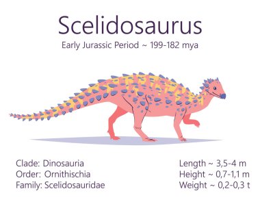Scelidosaurus. Ornithischian dinozoru. Tarih öncesi canlıların renkli tasviri ve beyaz arka planda izole edilmiş yaşam süresi olan karakteristik özelliklerin tanımı. Fosil dino.