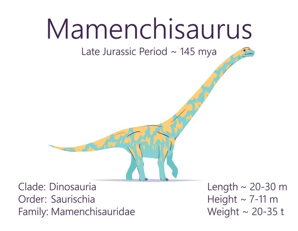 Mamenchisaurus. Sauropodomorpha dinosaurus. Kleurrijke vector illustratie van prehistorische schepsel mamenchisaurus, beschrijving van kenmerken, levensperiode geïsoleerd op witte achtergrond. Fossiele dino. — Stockvector