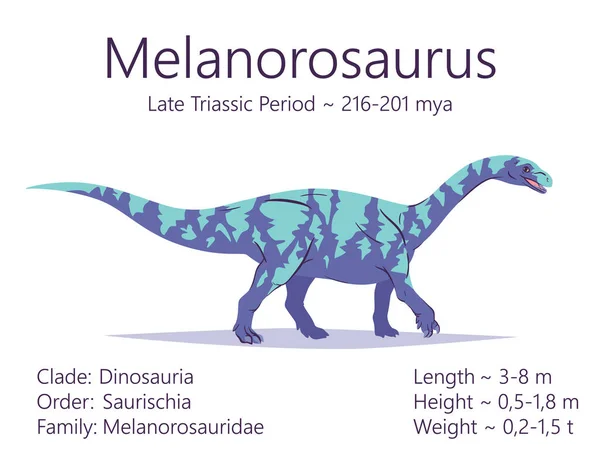 メラノロサウルス。サウロポドモフォラ恐竜。先史時代の生物メラノロサウルスのカラフルなベクターイラスト,特性の説明,白い背景に隔離された生活の期間.化石ディノ. — ストックベクタ