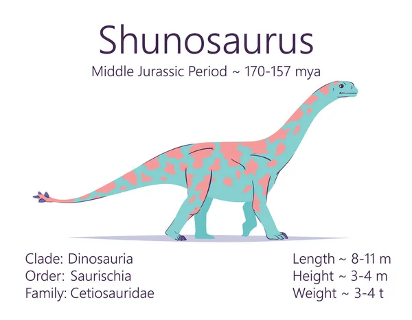 Een shunosaurus. Sauropodomorpha dinosaurus. Kleurrijke vector illustratie van prehistorische schepsel shunosaurus en beschrijving van de kenmerken en de periode van het leven geïsoleerd op witte achtergrond. Fossiele dino — Stockvector