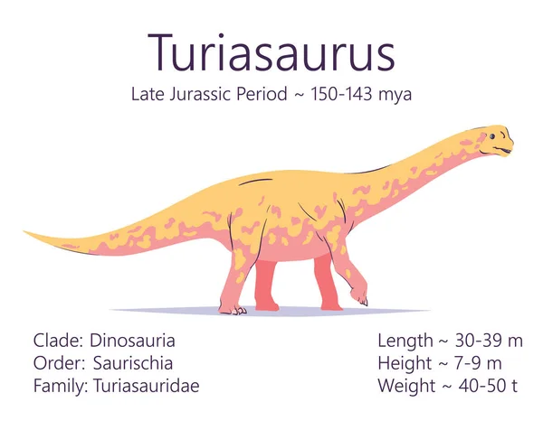 Turiasaurus. Sauropodomorpha dinosaurus. Kleurrijke vector illustratie van prehistorische schepsel turiasaurus en beschrijving van de kenmerken en de periode van het leven geïsoleerd op witte achtergrond. Fossiele dino. — Stockvector