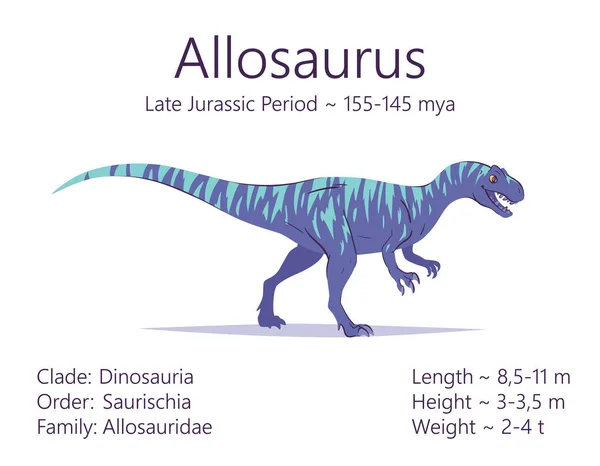 Allosaurus. Theropoda dinosaurus. Barevná vektorová ilustrace prehistorického tvora allosaura a popis charakteristik a období života izolovaných na bílém pozadí. Fossil dino. — Stockový vektor