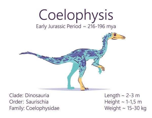 Coelofyse. Theropoda dinosaurus. Kleurrijke vector illustratie van prehistorische schepsel coelofyse en beschrijving van de kenmerken en de periode van het leven geïsoleerd op witte achtergrond. Fossiele dino. — Stockvector