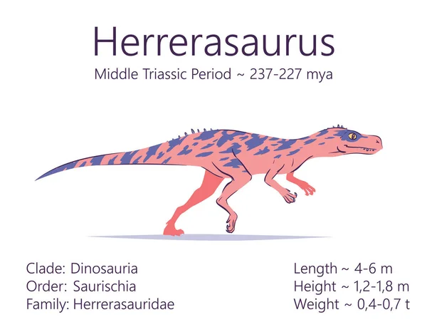 Herrerasaurus. Theropoda dinosaurus. Kleurrijke vector illustratie van prehistorische schepsel herrerasaurus en beschrijving van de kenmerken en de periode van het leven geïsoleerd op witte achtergrond. Fossiele dino. — Stockvector