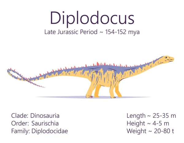 Diplodocus. Dinosaurio Sauropodomorpha. Ilustración vectorial colorida de diplodocus de criaturas prehistóricas y descripción de características y período de vida aislados sobre fondo blanco. Dino fósil. Gráficos Vectoriales