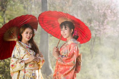 Tayland 'daki Himalaya Sakura bahçesinde geleneksel Japon kimonosu ve kırmızı şemsiye giyen Asyalı kadınlar..