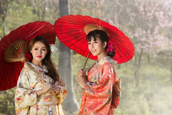 Ázsiai Nők Viselnek Hagyományos Japán Kimonó Piros Esernyő Himalájai Sakura — Stock Fotó