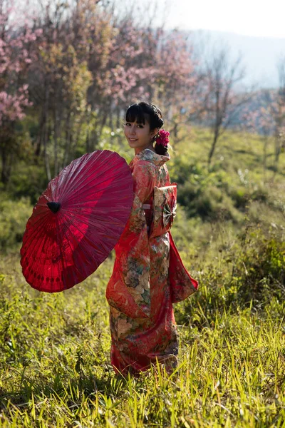 Tayland Daki Himalaya Sakura Bahçesinde Geleneksel Japon Kimonosu Kırmızı Şemsiye — Stok fotoğraf