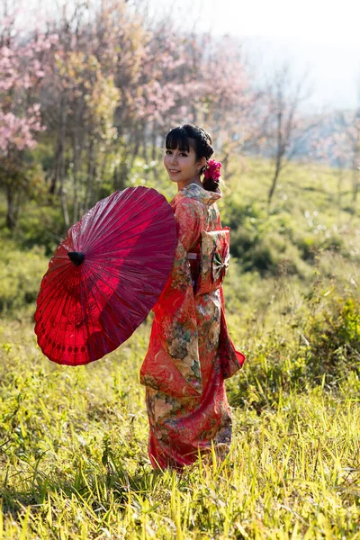 タイのヒマラヤの桜の庭に日本の伝統的な着物と赤い傘を着たアジアの女性 — ストック写真