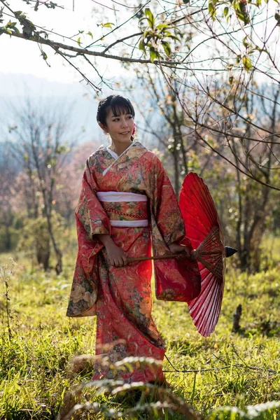 Azjatki Ubrane Tradycyjne Japońskie Kimono Czerwony Parasol Himalajskim Ogrodzie Sakura — Zdjęcie stockowe