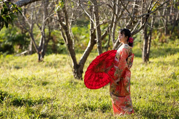 タイのヒマラヤの桜の庭に日本の伝統的な着物と赤い傘を着たアジアの女性 — ストック写真