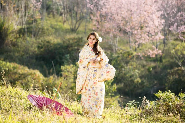 Tayland 'daki Himalaya Sakura bahçesinde geleneksel Japon kimonosu ve kırmızı şemsiye giyen Asyalı kadınlar..