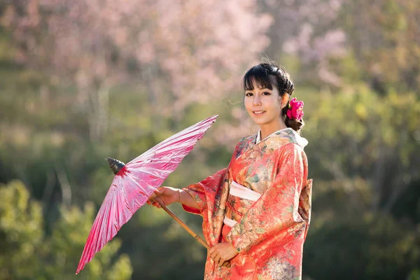 Tayland Daki Himalaya Sakura Bahçesinde Geleneksel Japon Kimonosu Kırmızı Şemsiye — Stok fotoğraf