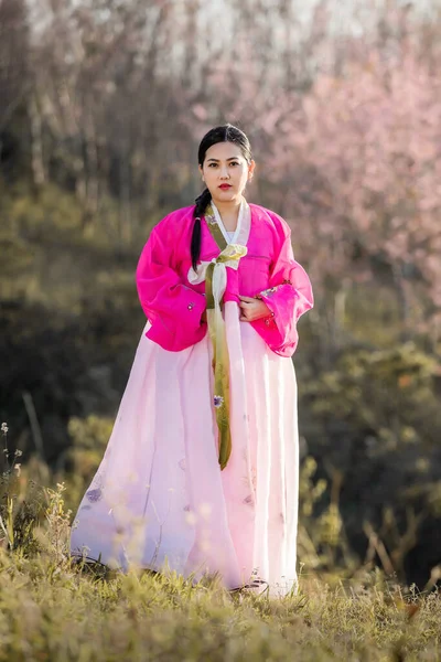Piękna Kobieta Azjatycka Dziewczyna Hanbok Sukienka Korea Woman Koreański Tradycyjne — Zdjęcie stockowe