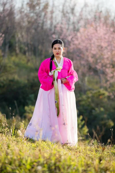 Hermosa Mujer Asiática Niña Hanbok Vestido Korea Woman Coreano Tradicional — Foto de Stock