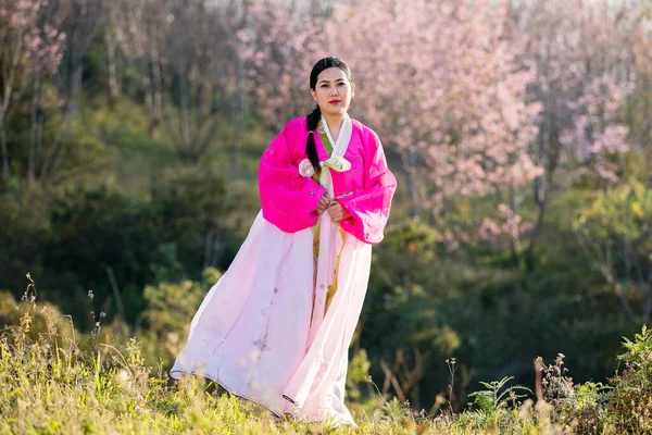 美しい女性アジアの女の子韓服韓国のドレス 韓国の伝統的なドレスの女性 笑顔韓国の女性のドレス伝統的な 花の背景に隔離された屋外ショット — ストック写真