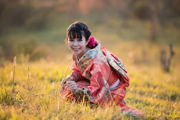 Tayland Daki Himalaya Sakura Bahçesinde Geleneksel Japon Kimonosu Kırmızı Şemsiye — Stok fotoğraf