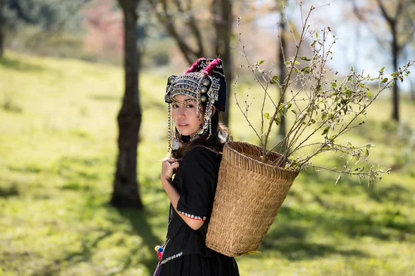 Dívka Akha Kostým Procházky Divoké Himálajské Třešně Nebo Thajské Sakura — Stock fotografie