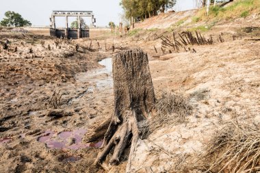 Küresel ısınma yağmuru mevsimsel yapmaz. Kuraklık sorunu onu izledi. Barajdaki su kurumuş, çatlamış toprak.