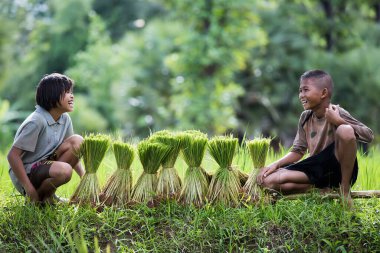 Çocuklar pirinç filizlerinin yanında dinlenirken gülümsüyor..