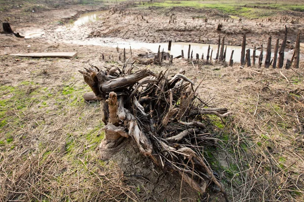 Global warming makes the rain not seasonal. The problem of drought followed. The water in the dam is dry, cracked soil.