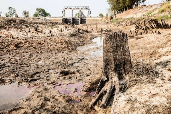 stock image Global warming makes the rain not seasonal. The problem of drought followed. The water in the dam is dry, cracked soil.