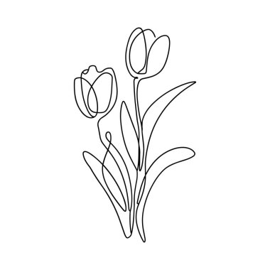 Saplı ve beyaz arkaplanda yaprakları olan iki lalenin minimalist tek çizgi çizimi. Sanat eserleri, çiçekleri zarif ve basit bir şekilde temsil eden sürekli siyah bir çizgide sunuluyor..