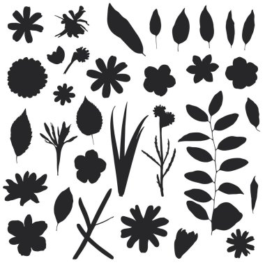 Çeşitli çiçek, yaprak ve bitki elementlerinin yer aldığı çeşitli siyah siluet çizimlerinden oluşan bir koleksiyon. Grafik stili farklı çiçek şekilleri, narin yapraklar ve basit bitki formlarını sergiliyor, hepsi beyaz arka planda..
