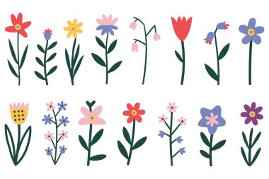 Düz dizayn edilmiş on iki çiçekten oluşan canlı bir koleksiyon. Her çiçeğin kendine has bir şekli ve rengi vardır, kırmızı, sarı, mavi, pembe ve mor tonlarında yeşil sapları ve yaprakları vardır. Beyaz bir sırta karşı iki sıra halinde dizilirler.