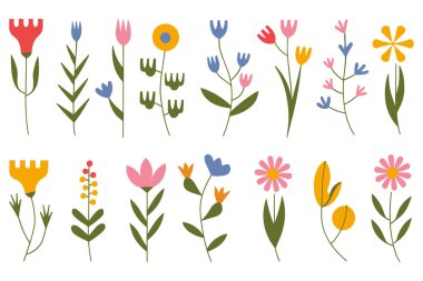 Beyaz arka planda iki sıra halinde dizilmiş çeşitli çiçek ve bitkilerin stilize edilmiş, düz çizimleri. Elementler basit şekiller ve kırmızı, mavi, sarı, pembe, yeşil ve turuncu renkler içerir. E