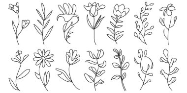 Çiçek ve botanik elementlerin on beş ince çizgili sanat çizgisi koleksiyonu beyaz bir arkaplanda sunulmaktadır. Her bir resimde ince, sürekli siyah çizgiler çizilmiş yapraklı, çiçekli veya tomurcuklu tek bir kök bulunur. Bu tarz...