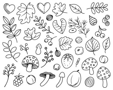 Sonbahar temalı doğa elementlerinin elle çizilmiş çizimleri. Koleksiyonda çeşitli yapraklar, mantarlar, böğürtlenler, meyveler, fındıklar ve kalpler yer alıyor. Tarz 