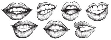 Kadın dudaklarının ve ağızlarının çeşitli ifadelerle çizilmiş yedi el çizimi çizimi. Çizimlerde dişleri ve dilleri görünen açık ağızlar, gülücükler ve hafifçe ayrılmış dudaklar var. Hepsi de beyaz bir arka planda ayrıntılı bir çizgi şeklinde çizilmiş..
