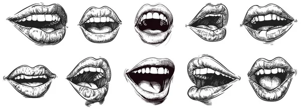 Çeşitli açık ve kapalı pozisyonlarda on adet el çizimi dudak ve ağız örneği. Tarzı, yumurtadan çıkan, siyah ve beyaza boyanmış detaylı bir taslak. Görüntüler, güzelliğe uygun farklı ifadeler ve açılar yakalar.,