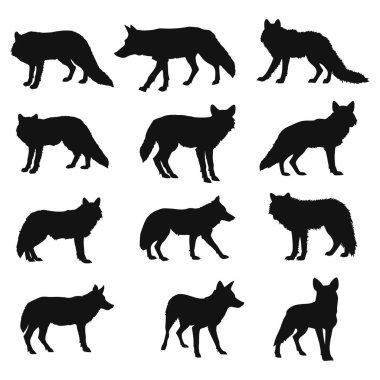 Kurt Siluetleri Siyah Vahşi Yaşam Vektör İllüstrasyonunu Ayarladı