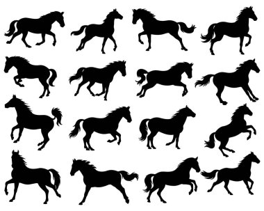 Koşan At Siluetleri Siyah Vahşi Yaşam Vektör İllüstrasyonunu Ayarladı