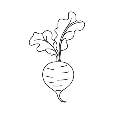 Yapraklı bir pancarın siyah beyaz çizimi.