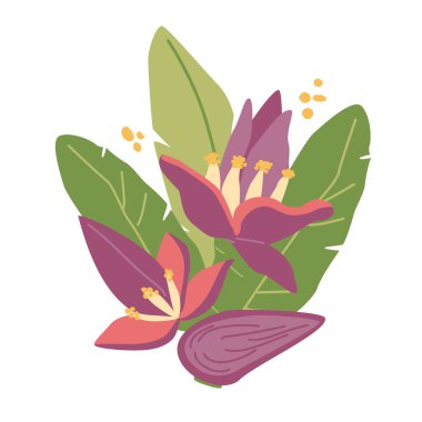 Renkli tropikal muz çiçekleri ve canlı yapraklı yeşillik çizimleri.